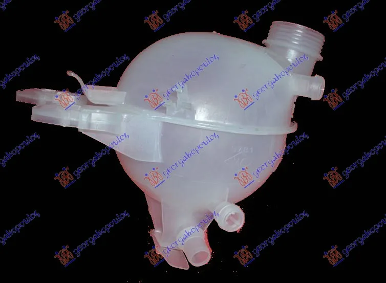 Posuda antifriza Citroen C2 2003 - 2008